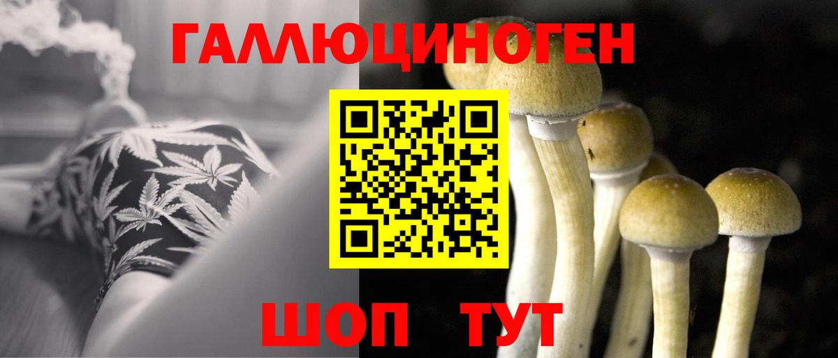 Мурманск  Псилоцибиновые грибы Magic Shrooms  Галлюциногенные грибы GOLDEN TEACHER  Вход с VPN 