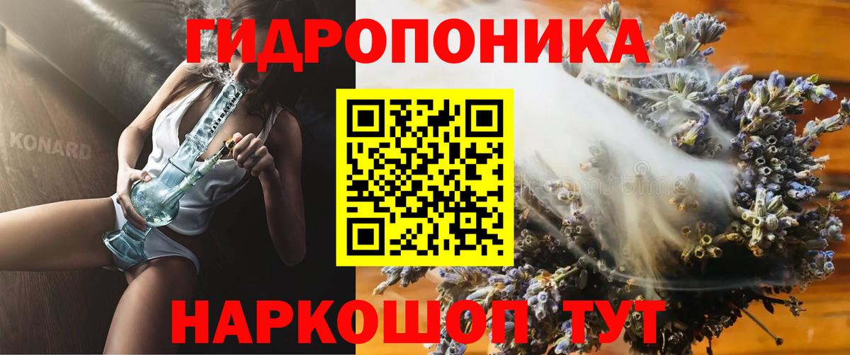 Марихуана семена  Канабис план  Конопля планчик  Мурманск  Вход с VPN 